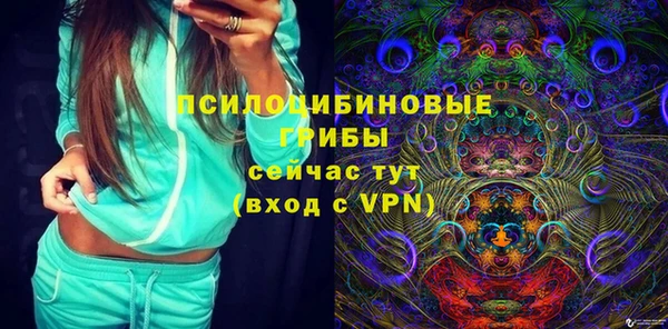 трава Карпинск