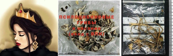 трава Карпинск
