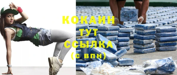 трава Карпинск
