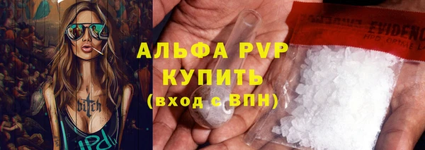 трава Карпинск