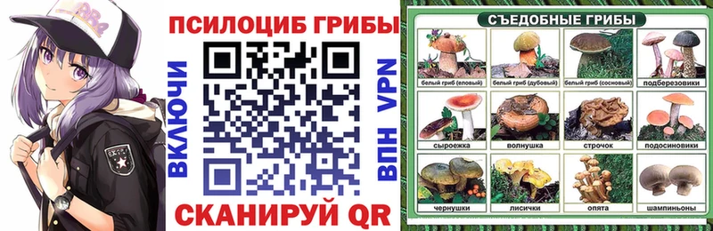 Купить закладки  Гатчина  Псилоцибиновые грибы мухоморы 